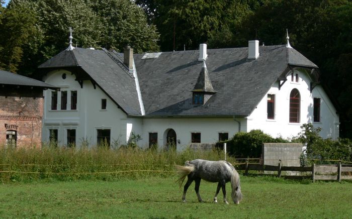 Pferd vor Gut Freschluneberg