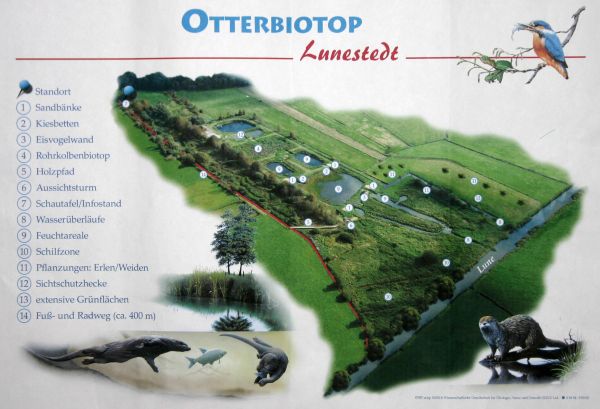 Otterbiotop