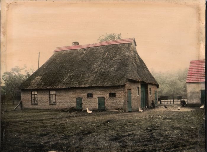 Pape-Haus im Busch 1955